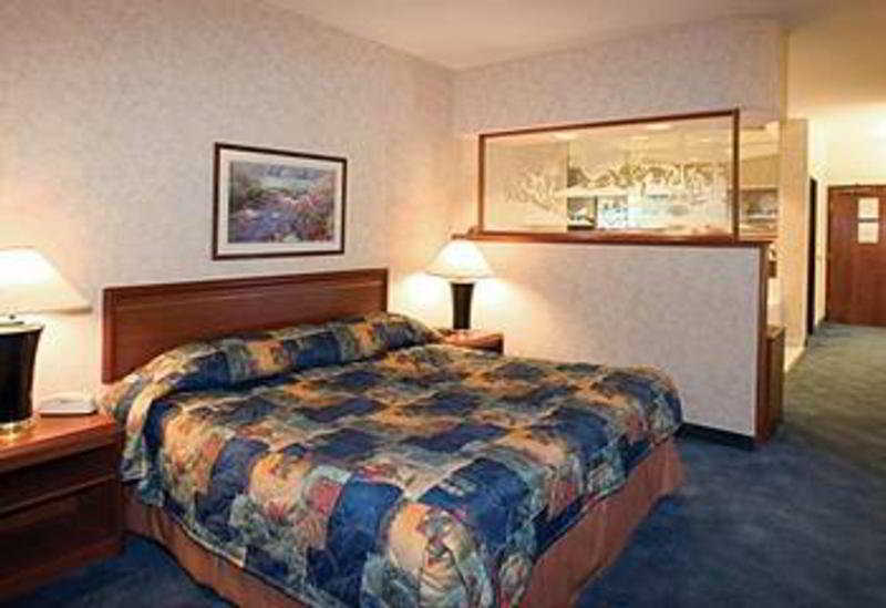 Holiday Inn Twin Falls, An Ihg Hotel Room photo